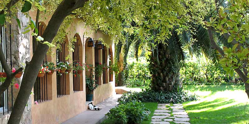 Finca Adalgisa suite with vineyard views