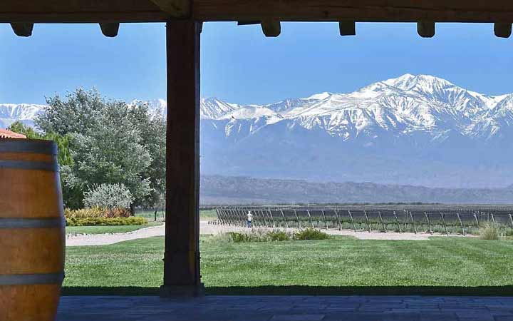 Lujan de Cuyo vineyard